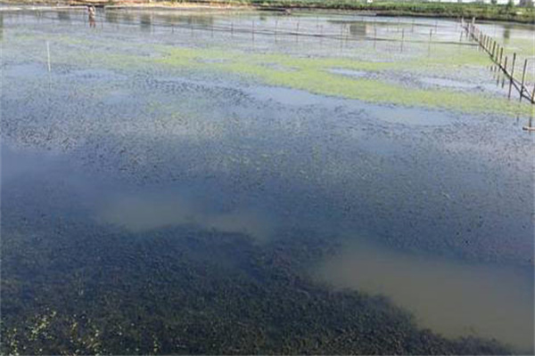 增加溶氧，促進(jìn)有機(jī)物氧化分解