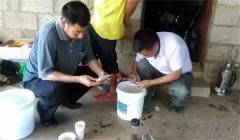 魚病治療中的發(fā)現(xiàn)、送診、用藥問題