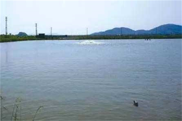 鮰魚(yú)養(yǎng)殖的池塘條件