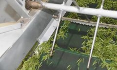 毛尖茶機械制作的具體步驟和方法是什么？