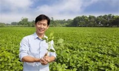 新型農(nóng)民是指什么農(nóng)民，其具備哪三個特征