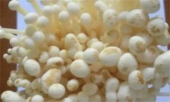 如何防治金針菇黑斑病，其發(fā)病條件是什么？