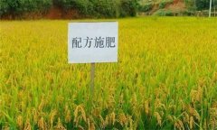 什么是配方施肥技術(shù)，配方施肥應(yīng)遵循哪些原理
