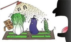 農(nóng)藥“安全、經(jīng)濟、有效”的使用原則