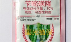 芐嘧磺隆的作用機制、使用方法與注意事項