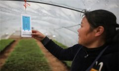 溫度對農(nóng)作物生長發(fā)育的影響有哪些方面？