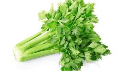芹菜有何營養(yǎng)價值，多吃芹菜有哪些好處？