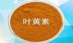什么是葉黃素？哪些蔬菜富含葉黃素？