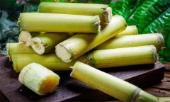 如何選購、儲存甘蔗？食用甘蔗應(yīng)注意事項(xiàng)