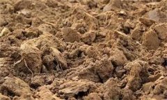 土壤肥力失衡、土壤質(zhì)量下降、土壤酸化怎么辦