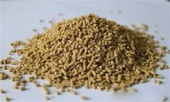 雞飼料中可以添加膽堿嗎？